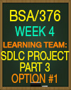 BSA/376 WEEK 4 SDLC FINAL PROJECT PART 3